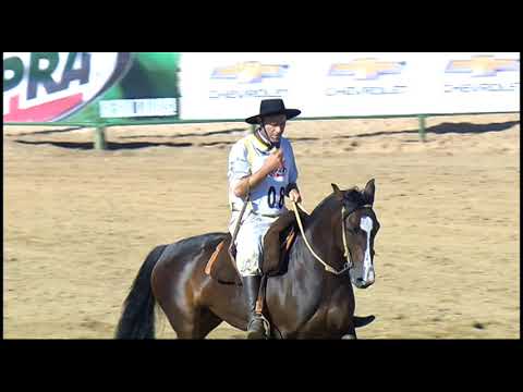 Classificatória de Araranguá - 5º lugar fêmeas - Belle Jóia Rara (Bayard/Sarmento)