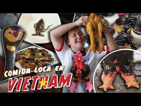 La comida más loca de Vietnam 🇻🇳 Comida callejera muy bizarra 🐍