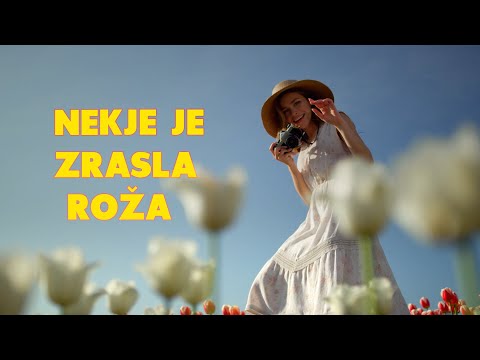 Ansambel PRVA L!GA - Nekje je zrasla roža