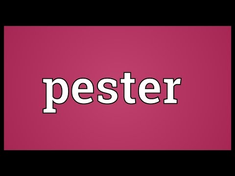 Pester Meaning