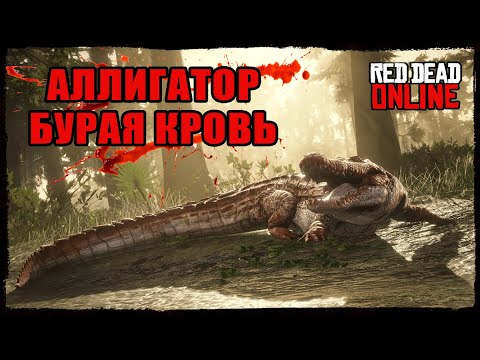 RDO Легендарный Аллигатор БУРАЯ КРОВЬ