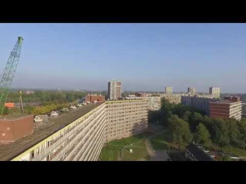 Florens van Brederodelaan