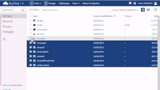 SKYDRIVE GESTION L5 - ranger ses affaires partie 2 - Cours IFAD