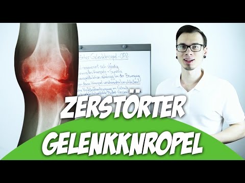 Gymnastik in Osteochondrose anfällig Verfahren in der Wirbelsäulen Osteochondrose