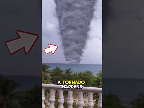 How to Survive a Tornado 🌪️