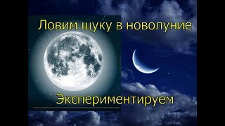 Лунный календарь когда клюет щука
