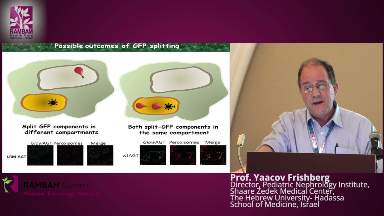 Primary Hyperoxaluria Type 1 - Novel Therapeutic Approaches - Prof. Yaacov Frishberg - YouTube
