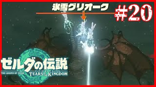 世界広い、広すぎるよ...【ゼルダの伝説 ティアーズ オブ ザ キングダム】#20