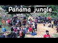 USA🇺🇸 Donkey || Panama jungle 1st day || Part 1 || America Donkey Panama jungle new video 2023
