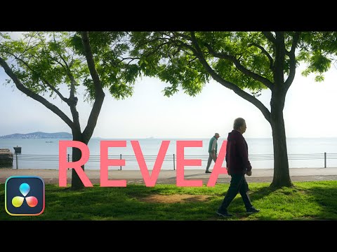 Simplest TEXT REVEAL Effect in Davinci Resolve 18 // Using Tracker and  Masking Method | Tutorial