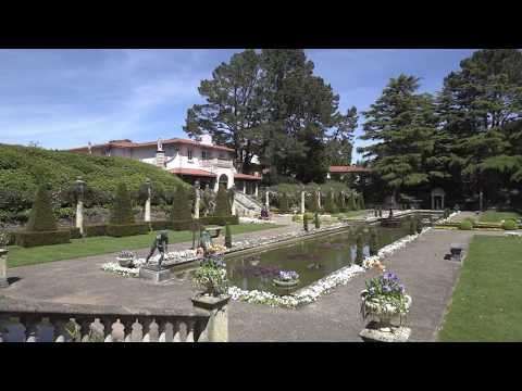 Philippa Sole, Top Picks — Compton Acres