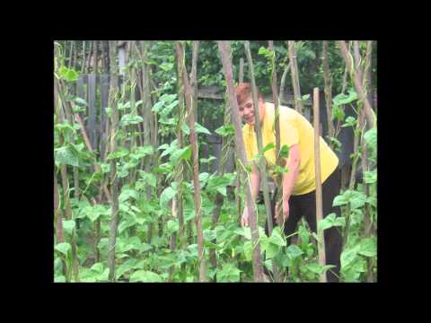 film despre Boholt si despre pensiunea familiei Cristian