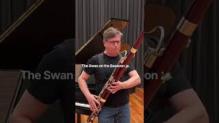 Download lagu Saint-Saëns' The Swan on the bassoon |サン=サーンスの白鳥をファゴットで| ⁠#Shorts⁠ mp3