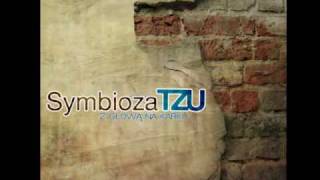 preview picture of video 'SymbiozaTZU - Obudź Siebie'