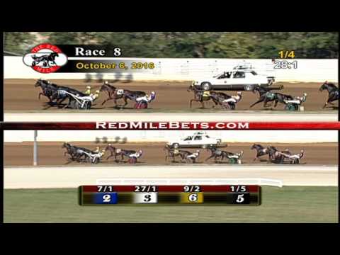 Red Mile Racetrack Race 8 10-6-2016