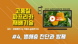 [고품질 파프리카 재배기술] part 4. 병해충 진단과 방제