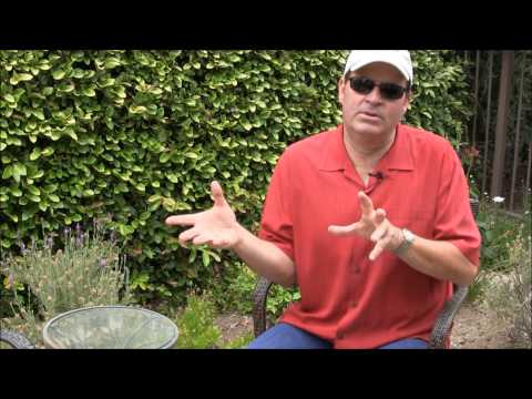 The Leo King Interview With The Lawrence Palmer Band