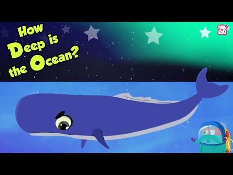 Quelle est la profondeur de l'océan ? | PROFONDEUR DE L'OCÉAN | Spectacle du Dr Binocs | Coucou Kidz