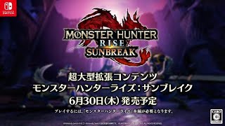 【MHRise:SB】DEMO初見➡ライズに戻る