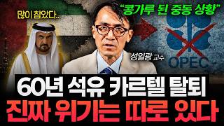 "60년 석유 카르텔 붕괴" 중동 판이 완전히 뒤집혔다 (성일광 교수 2부)