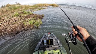 Best day of fishing so far on the Delta in 2025