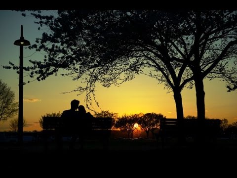 Chiều lữ thứ - Tuấn Ngọc