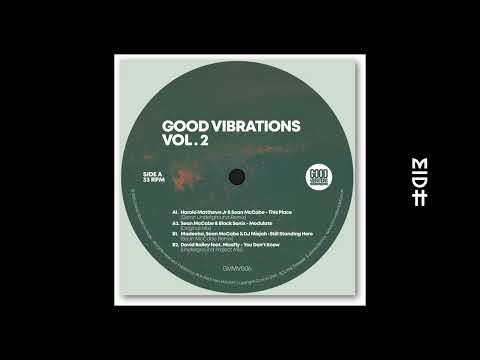 Harold Matthews Jr & Sean McCabe - This Place (Glenn Underground Remix)