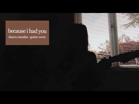 because i had you - shawn mendes - guitar cover