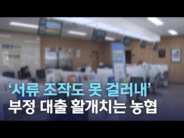 '서류 조작도 못 걸러내' 부정 대출 활개치는 농협