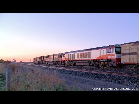 4AM9 SCT Train with Boxcars & Container Wagons - PoathTV