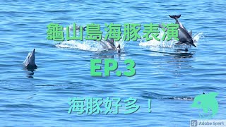 龜山島海豚表演 EP.3