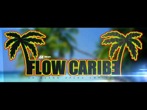 Descontrol- Edgar Insema FT Fracii ►[[Flow Caribe]]◄