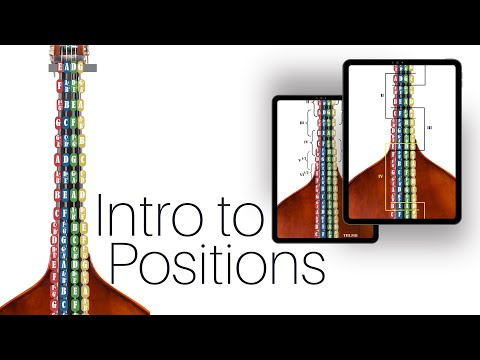Introduction to Fingerboard Positions on the Upright Bass