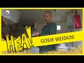 HEA! Indisch eten met Ruud