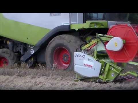 Schlammschlacht in der Getreideernte | Lexion am kämpfen | Case Puma 225 , Case CVX 1155