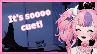 Connor showing an Axolotl irl to Ironmouse