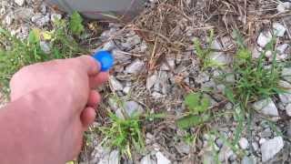 100% PROOF FEMA MAILBOX LABELS! MARTIAL LAW 2016!!