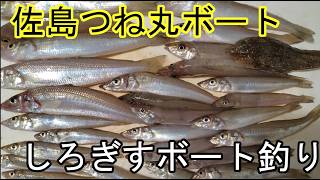 佐島つね丸ボート