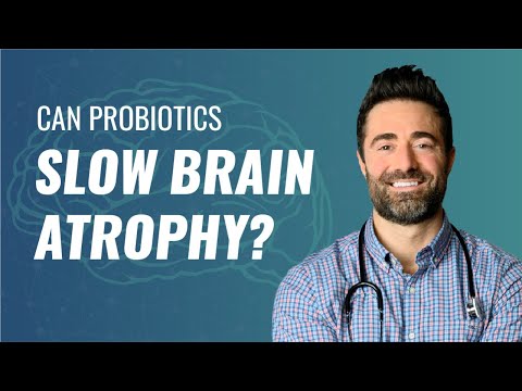 Probiotics for Brain Health: Brain Atrophy and Cognition