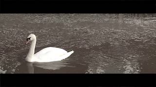 RIVERSIDE - CINEMATIC VLOG - VLOG 2