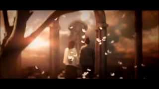 Download lagu Takahashi Minami - Yabureta Hane [PV] mp3