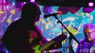 Strawberry Alarm Clock - Rainy Day Mushroom Pillow