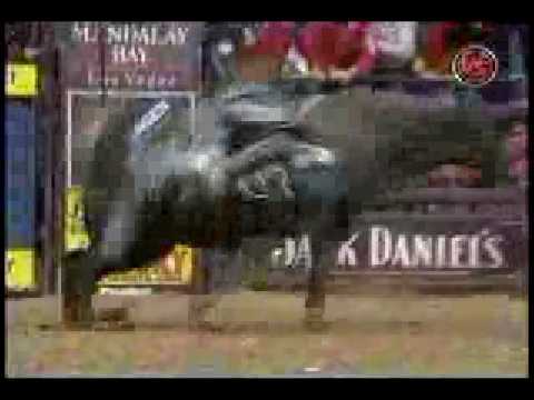 Luke Snyder Vs  Scene of the Crash