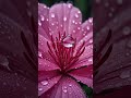 Humming Kadhalin Deepam Ondru