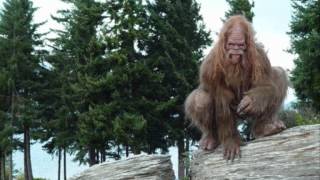 sasquatch song