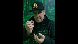 PJ Took The Red Pill - from WWTF LIVE 114