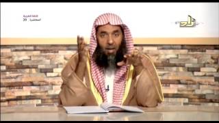 جمع التكسير - المحاضرة 20 - اللغة العربية -الشيخ ناصر بن حمدان عودة الجهني image