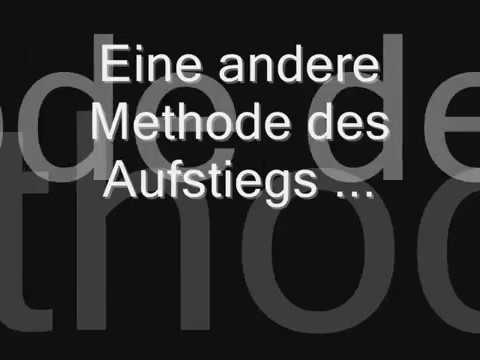 Zapfenpflücker bei der Zapfenernte