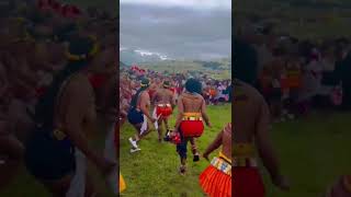 🇿🇦 #proudlysouthafrican #bhincanation #amatshitshi #zuluMaidens #proudlyafrican #ojapiano #umukunga