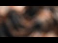 4k Shein Try On Haul Lingerie 2026 Micro Bikini See Through Transparent Lingerie Fashion Trend